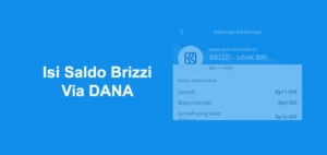 Isi Saldo Brizzi Via DANA, Apakah Berhasil?